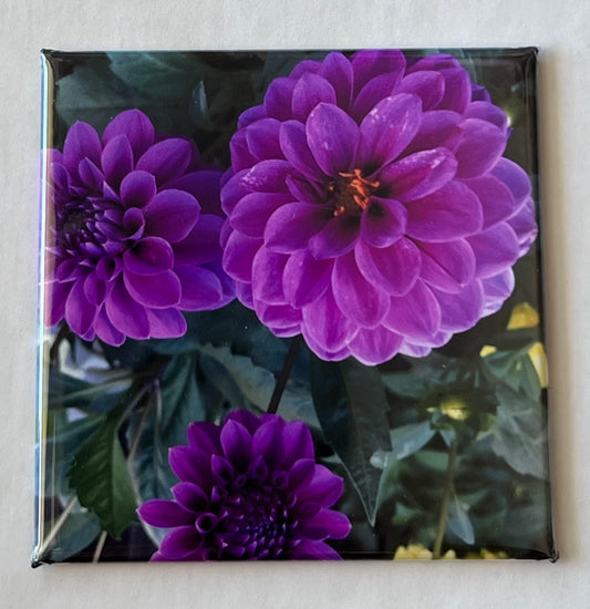 Personalized Photo Magnet